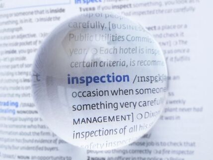 The word inspection magnified 