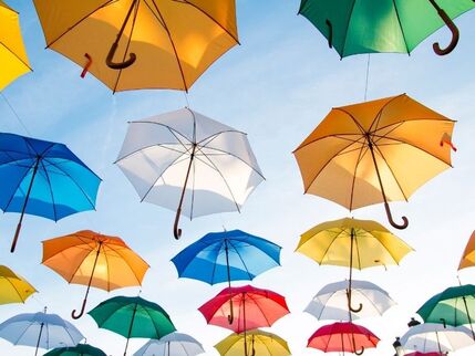 Umbrellas 
